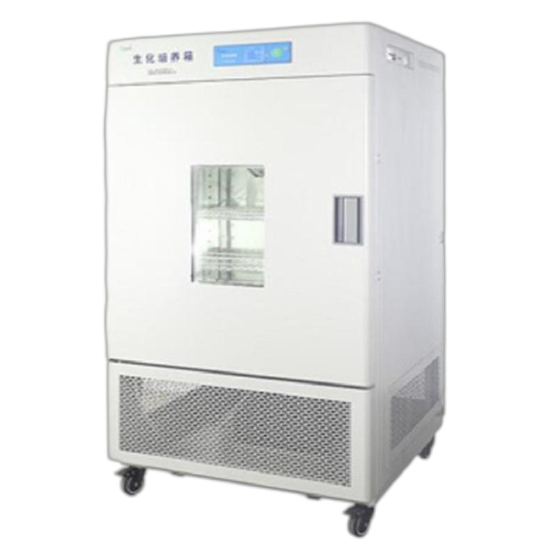 霉菌培养箱
